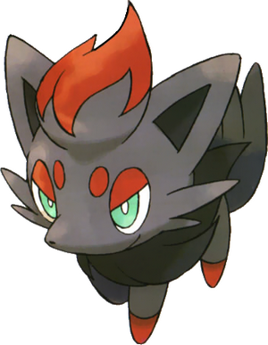zorua