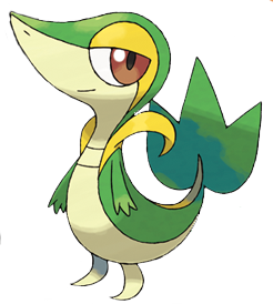 tsutaadja