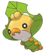 insecte incertae sedis