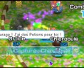 pokemon_rumble_world_05_fr