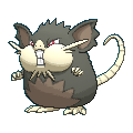 Rattatac d'Alola