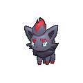 Zorua