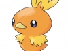 Torchic