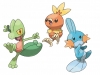 Treecko_Torchic_Mudkip_Group_layersremoved