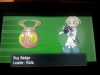 pokemon-xy-arene-1