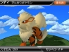 arcanine