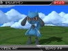 riolu