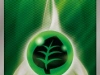 gc-energie-plante