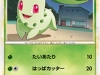 025141_p_chikorita.jpg