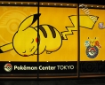 20090116_pct_onemuri-pikachu.jpg