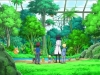 pokemon-xy-002-12501