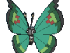 Pokémon XY - Prismillon Verdure