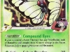 butterfree.jpg