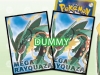 TCG Pokemon - XY6 Pochette Carte