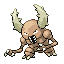 Scarabrute