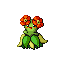 Joliflor