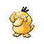 Psykokwak