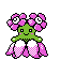 Joliflor