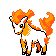 Ponyta