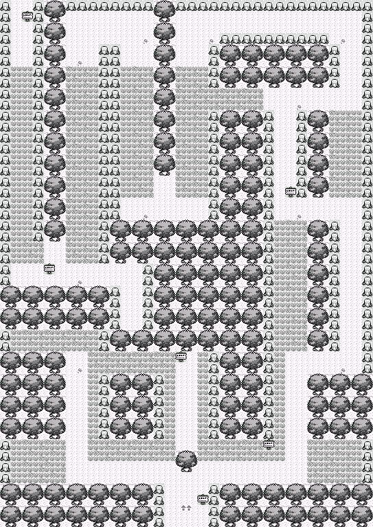 Plan : Forêt de Jade