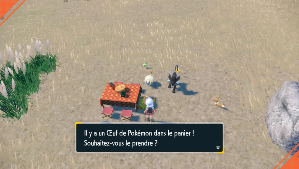 Un Œuf découvert dans le panier de pique-nique.