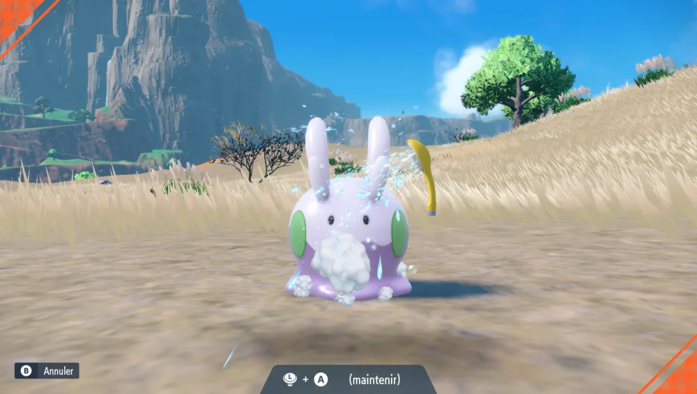 Le toilettage nettoie le Pokémon et lui rend des PV.