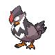 Étouraptor