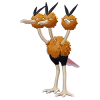 Dodrio