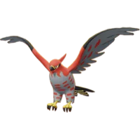Flambusard