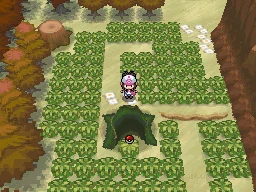 Plan : Bois des Illusions