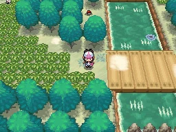 Plan : Route 6