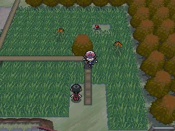 Plan : Route 7