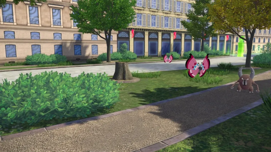Zone sauvage n° 13, Rue Septentrionale