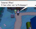 Pokémon Noir et Blanc