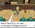 Pokémon Noir et Blanc