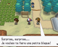 Pokémon Noir et Blanc