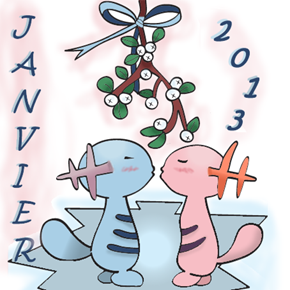 Janvier 2013