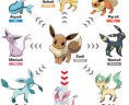 Eevee_Evoli_Graphic_FR