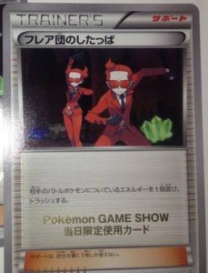 TCG - Team Flare XY