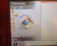 Pokémon XY - Fletchinder