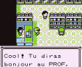 Pokémon Rouge et Bleu