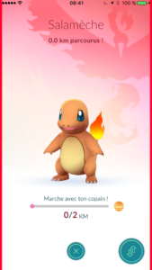 Pokémon GO - Copain Pokémon