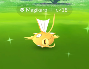 Pokémon GO - Magicarpe chromatique