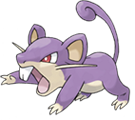 Rattata