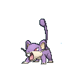 Rattata